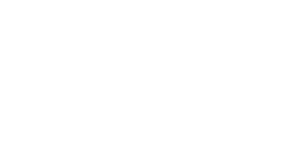 BiNexis Partner von PlanPlus360